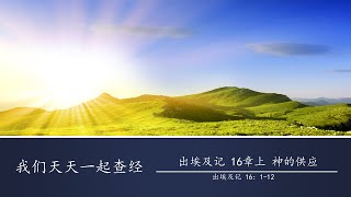 出埃及记 16章上 神的供应