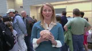 Susi at the MSU Neuroscience Fair 3