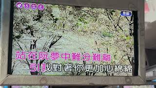 宜蘭快樂一日遊謝麗惠歡唱思慕的人2025年2月6日