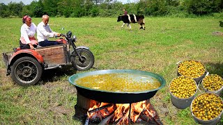 Grandma's Special Plum Juice Recipe for Winter - Fruit Harvesting