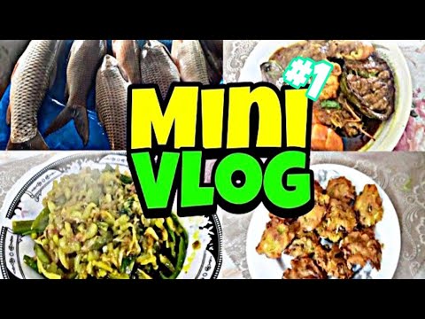Mini Vlog 1 Youtube