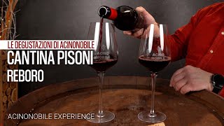 Cantina Pisoni | Reboro