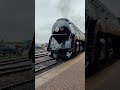 Norfolk and Western 611 at Strasburg Railroad in the rain