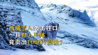 喜馬拉雅山神秘大腳印是野人留下的嗎？一具野人尸體竟然能賣出1000萬？ #動漫 # #動漫解說 # #日本動漫