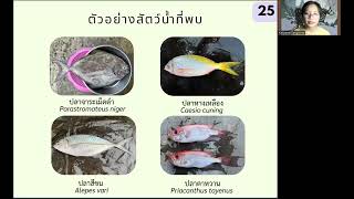 รายงานปฏิบัติการสหกิจศึกษา ศูนย์วิจัยและพัฒนาประมงทะเลระยอง