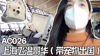 反向跑毒！终于带宠物出国啦！ | 赶上了仅留下的几趟航班.... Travel to Vancouver with My Dog