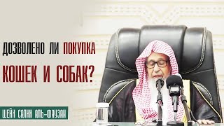 Шейх Салих аль Фаузан. Дозволено ли покупка кошек и собак?