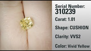 Serialized Diamond 310239