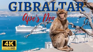 🇬🇮 GIBRALTAR (APE'S DEN) - 4K WALKING TOUR - SUMMER 2022 🇬🇮