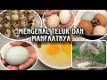 MACAM - MACAM TELUR DAN MANFAATNYA