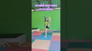 จรเข้ฟาดหางต่ออาระเบี้ยน #ตีลังกา #ยิมนาสติก #เทคนิคง่ายๆ #aerial #tutorial