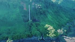 VANUA LAVA ISLAND VANUATU 🌴❤️