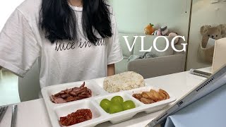 VLOG | 설거지하기 싫어서 식판에 밥먹기 | 흥부자 신혼부부 | 영화보는 주말🍿 | 남편이랑 운동다니기🏃🏻🏃🏻‍♀️ | 남편 도시락 싸주기