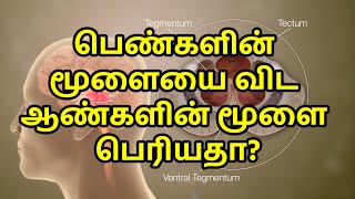 பெண்களின் மூளையை விட ஆண்களின் மூளை பெரியதா? | Unknown Facts About Brain in Tamil | D J Tamil