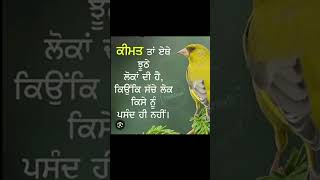 ਝੂਠੇ ਲੋਕਾਂ ਦੀ ਕੀਮਤ #video #shortvideo