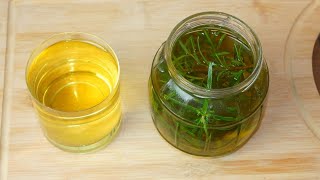 Say goodbye to joint pain and varicose veins with just rosemary!