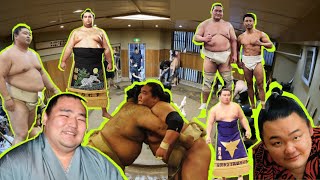 SUMO NEWS 56: Shodai's Ozeki Party, Asanoyama Gains Ground, Goodbye Kaisei, Kakuryū Exhibit \u0026 More!