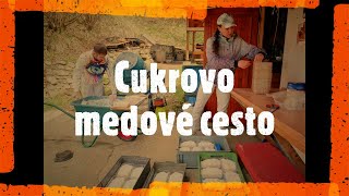 Cukrovo medové cesto. Výroba a skúsenosti dlhoročného včelára Pavla Kozáčika.