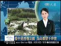 大愛新聞daaitv 新聞報導 援中港溼地 20100517