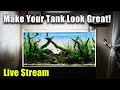 [LIVE]  Simple Steps to Making a Great Looking Aquarium!  Plus FIsh Q&A and a Giveaway!