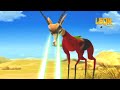 Superman Springbok | Leon the Lion | 25' Compilation | Crazy animals