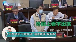 批將結紮浪浪原放「成何體統」　南市議員議會當場貓叫春｜鏡週刊 鏡爆政治