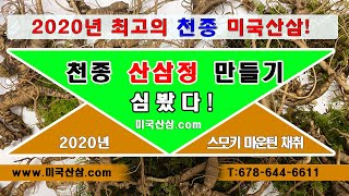 최고의 스모키 마운틴 야생 산삼을 산삼정으로 만들어 복용하는 방법. 문의 T:678-644-6611