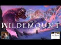 Welcome to Wildemount [2021 VERSION] - 1 HOUR