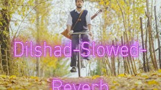 Dilshad || Slowed reverb || Yawar Abdal #viralsong