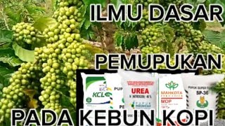 ILMU DASAR PEMUPUKAN PADA KEBUN KOPI #ilmu #pemupukan #kebunkopi #jaecekuh