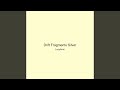 Drift Fragments Silver