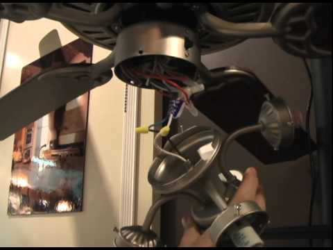 Shell Ceiling Fan Light Kit Shell Ceiling