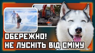 🤪 Смішні невдачі. Веселі відео з ТВАРИНАМИ. ПІДБІРКА ПРИКОЛІВ УКРАЇНСЬКОЮ / ОБЖ