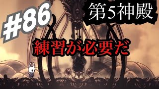 【初見】ホロウナイト　第5神殿