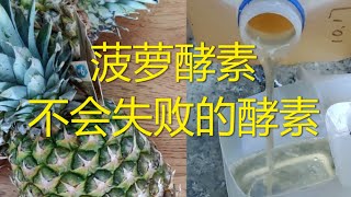 菠萝酵素 不会失败的酵素 液态肥改善土质 增加土壤养分