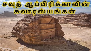 சவுத் ஆப்பிரிக்காவின் சுவாரஸ்யங்கள் interested facts of South Africa tamil