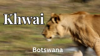 Exploring Khwai Botswana