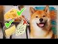 Tofu's Worlds of Foods - Cheese Review