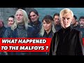 What Happened To The Malfoys After The War ? (Lucius Malfoy, Narcissa Malfoy And Draco)