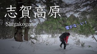 【風景写真・Vlog】雪少ない真冬？の【志賀高原】の森を散策｜Landscape photography Vlog