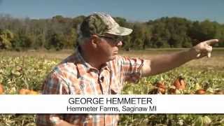 Michigan farmer George Hemmeter's pumpkin farm