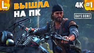 ❤️ Прохождение Жизнь После - Days Gone на русском [4K, PC] - Часть 1