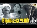 Aanappaachan Malayalam Full Movie | Prem Nazir | Sheela | Sree Movies