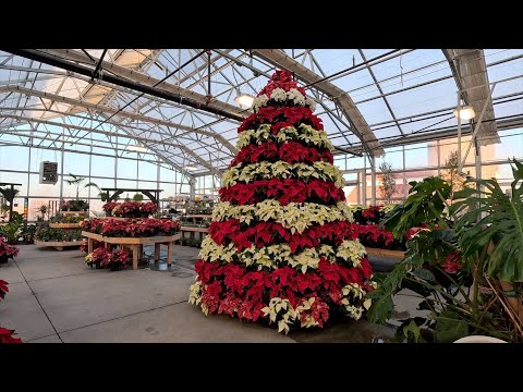 Christmas Shopping with My Mom & Monica! ️ // Garden Answer