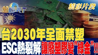 台2030年全面禁塑 ESG熱裂解讓廢塑膠變「綠金」！ | 金臨天下 20230824 @tvbsmoney