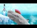 Hungry Shark Evolution Moby Dick Android Gameplay #6