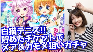 【白猫テニス】メア＆カモメ狙いでなんと!?チケット＆ジュエルでガチャってみた結果…【まったり無課金】