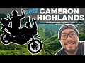 Cameron Highlands Ride - Motorcycle Road Trip