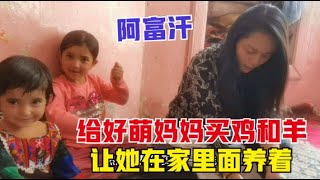 环球旅行（99）阿富汗女孩的妈妈不能工作，买了10多只鸡和2头羊，给她放家里养