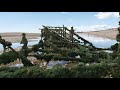 pagham harbour and nature reserve sussex